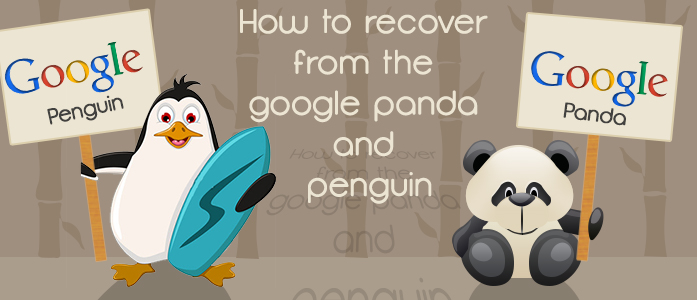  Google Penguin Recovery Service